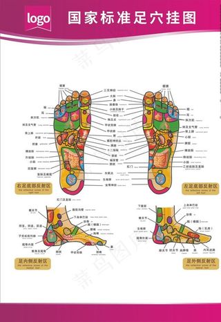 国家标准足穴挂图图片