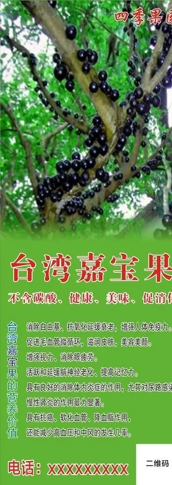 嘉宝果展架海报图片cdr矢量模版下载