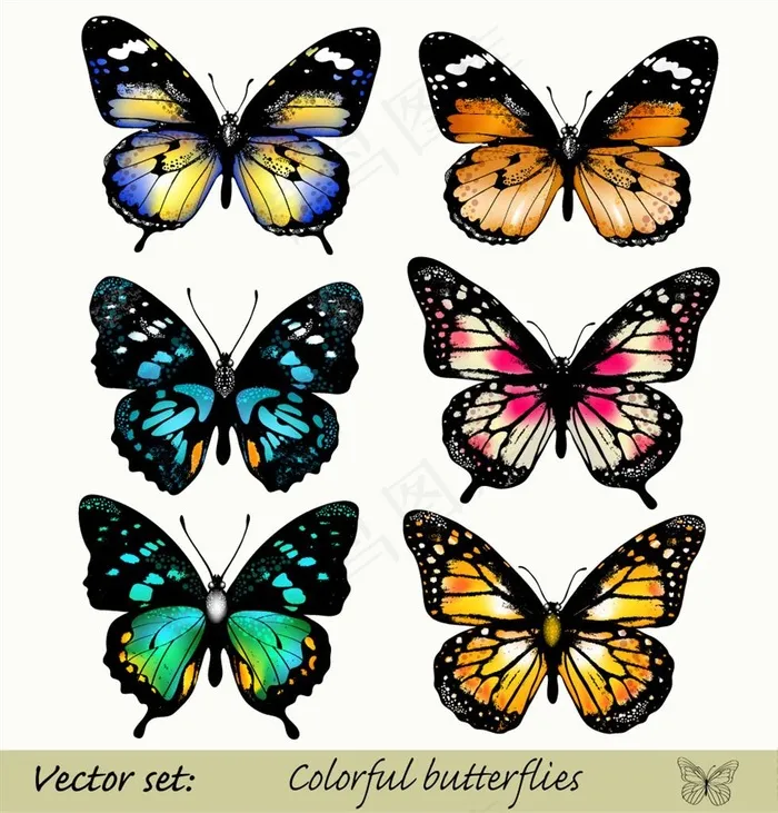 蝴蝶图片ai矢量模版下载