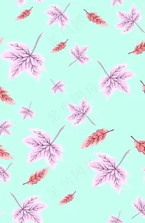 枫叶图片 枫叶图片