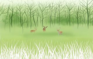 简约背景墙图片