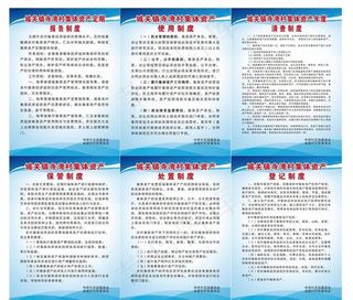 集体资产版面图片