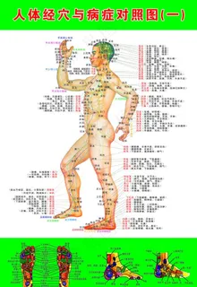 人体经穴图挂画图片