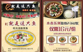 酸汤鱼DM单图片