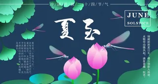 夏至图片