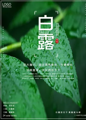 白露海报图片