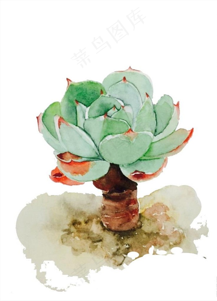手绘多肉图片psd模版下载