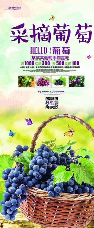 葡萄采摘宣传x展架图片