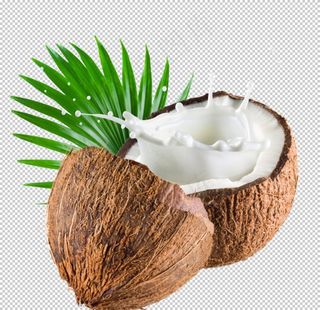 椰子图片