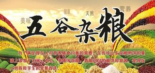 五谷杂粮图片