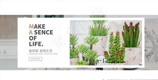 仿真花 多肉 花艺海报图片