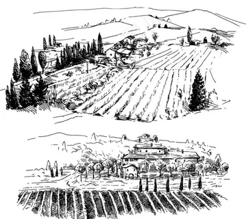 农田图片 农田图片