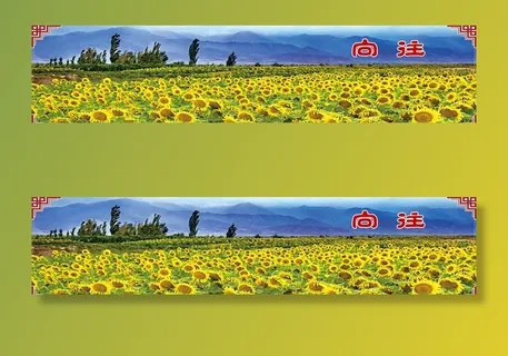 向日葵图片 向日葵图片