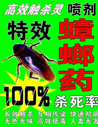 蟑螂药图片