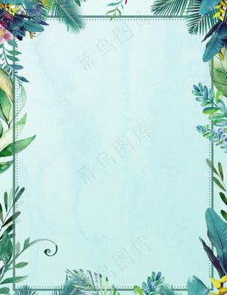 热带树叶背景图片