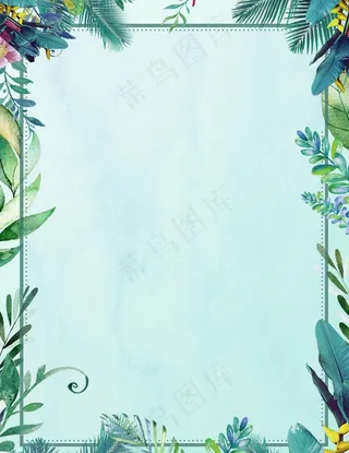 热带树叶背景图片