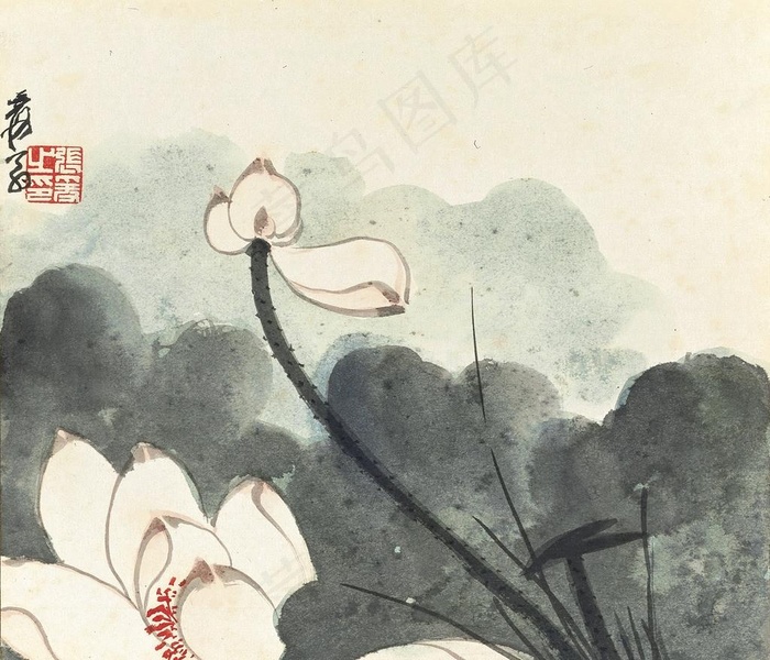 荷花图片