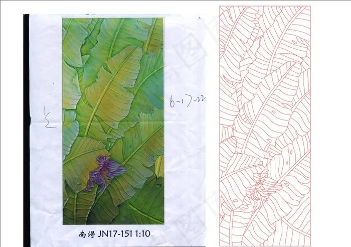 金芭蕉图片cdr矢量模版下载