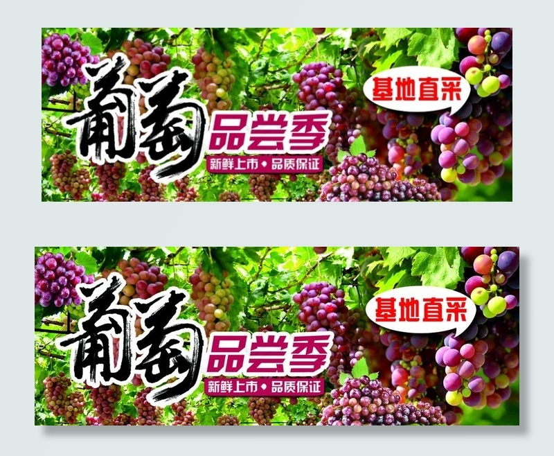 葡萄品尝季图片psd模版下载