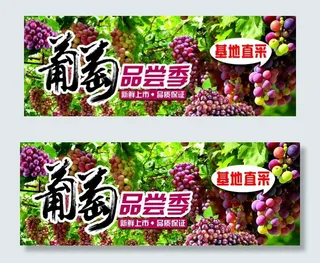 葡萄品尝季图片