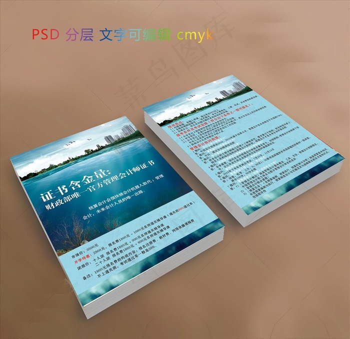 会计单页图片(2551X3437(DPI:300))psd模版下载