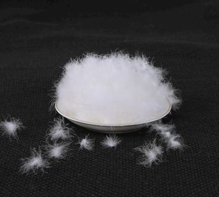 羽绒 白鹅绒图片