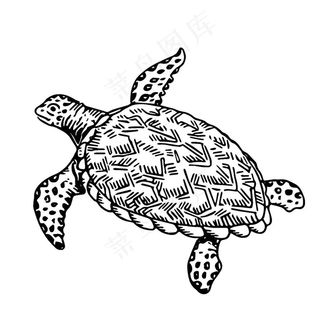 龟线稿绘画图案图片