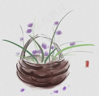兰花图案图片 兰花图案图片