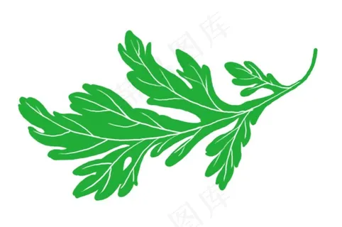 手绘艾叶图片
