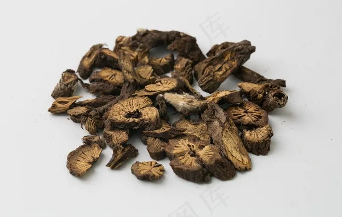 白头翁图片