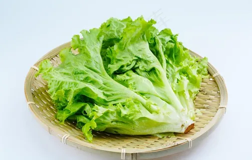 生菜图片 生菜图片