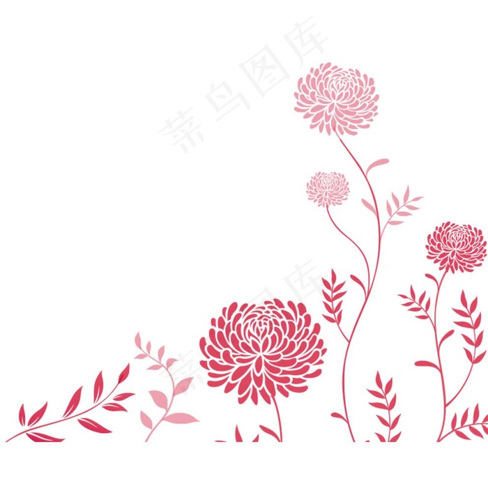 菊花矢量图图片