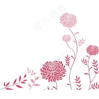 菊花矢量图图片