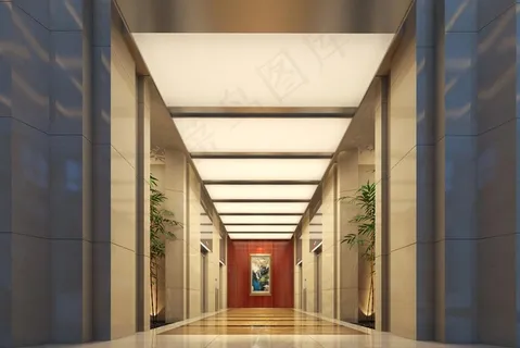 奢华入户大堂电梯图片
