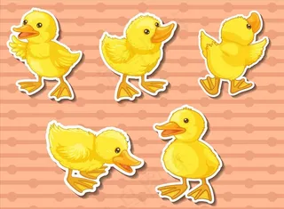 小黄鸭图片
