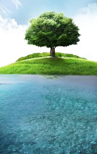 大树背景图片