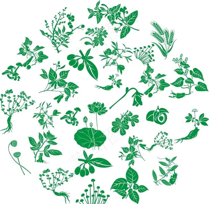 中草药圆形花纹图片cdr矢量模版下载