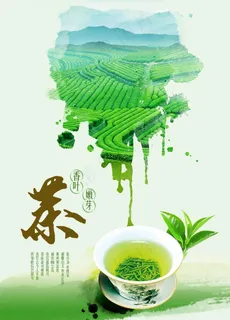 茶叶图片