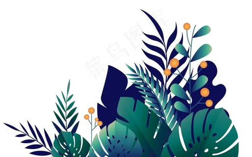 植物图片 植物图片