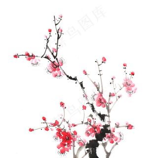 水墨画 梅花图片