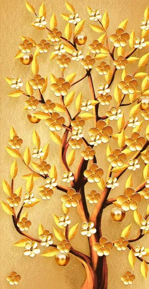 发财树图片 发财树图片