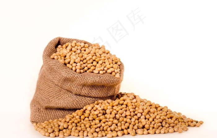 黄豆图片