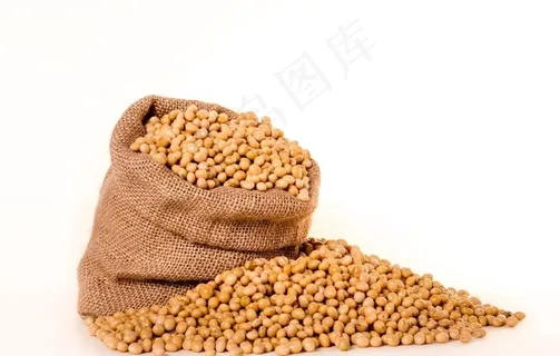 黄豆图片