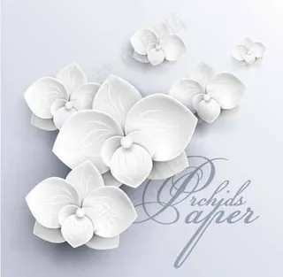 3D立体白色兰花背景墙图案图片