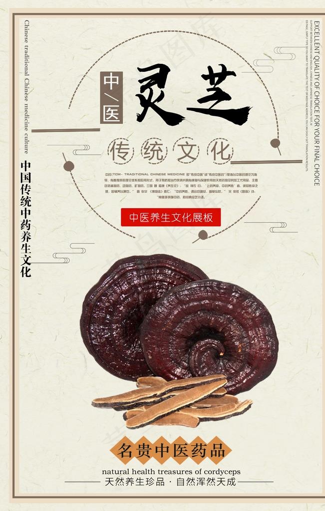 灵芝图片