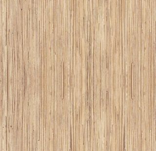 浅色木纹背景素材图片