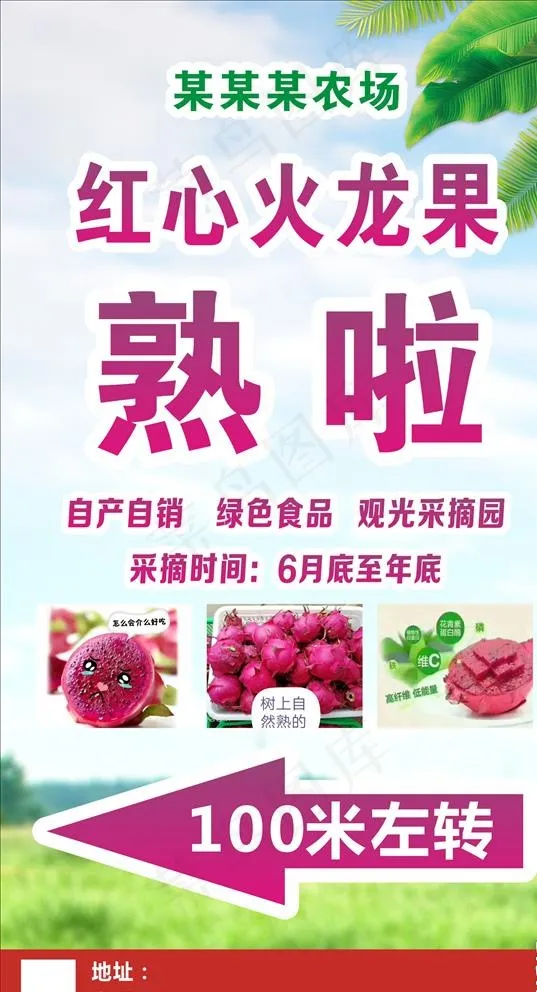 红心火龙果熟啦图片cdr矢量模版下载