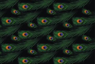 数码印花花型图片