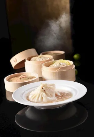 灌汤菜鸟图库片