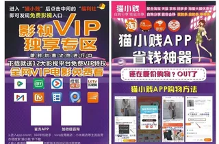 猫小贱传单 主播 紫色宣传单图片